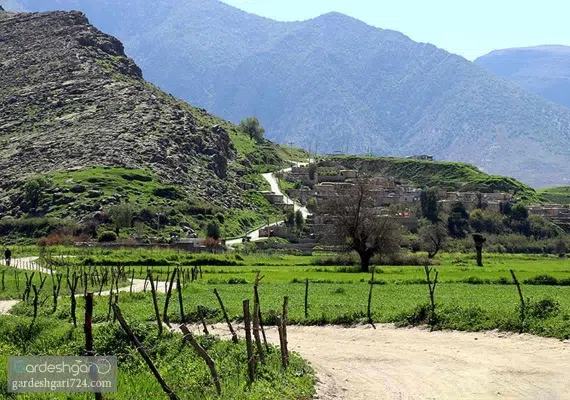 دشت سوسن ایذه