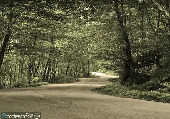 ماسال گیلان