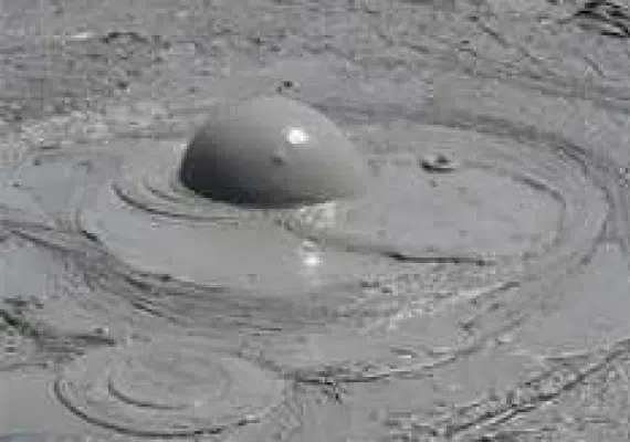 گل فشان پزم، محل درمان دردهای عضلانی و بیماری های پوستی