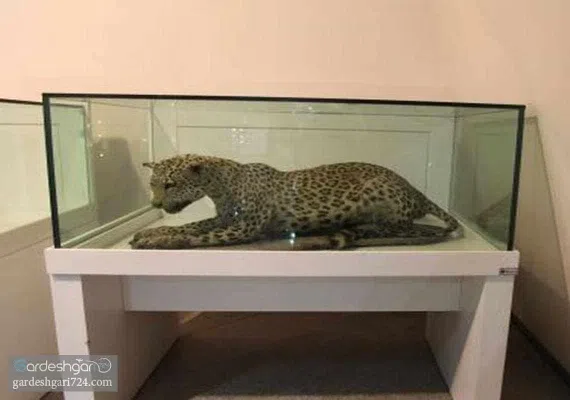 موزه بزرگ زاهدان