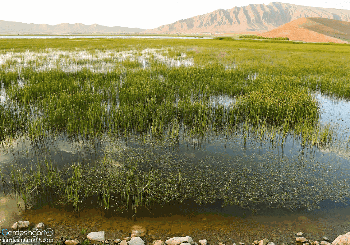 تالاب چغاخور