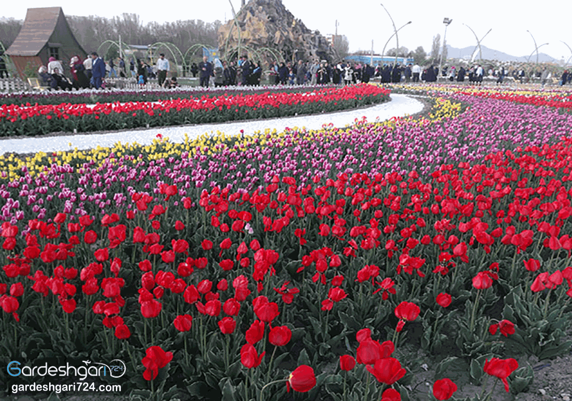 پارک گوللر باغی ارومیه