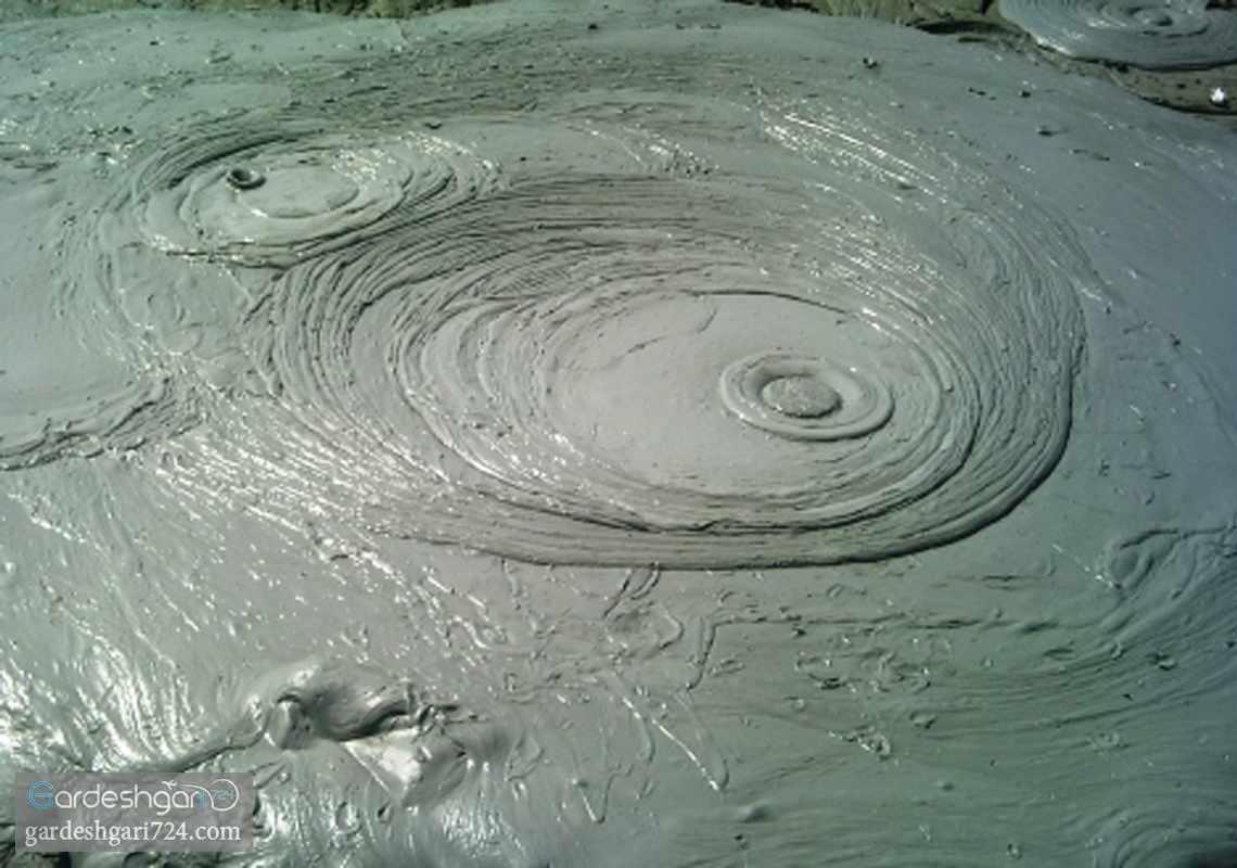 گل فشان پزم، محل درمان دردهای عضلانی و بیماری های پوستی