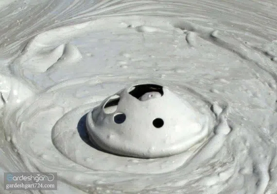 گل فشان تنگ، حیرت انگیز ترین پدیده ی سیستان و بلوچستان