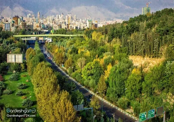 پارک جنگلی طالقانی، تماشای تهران از روی پل طبیعت