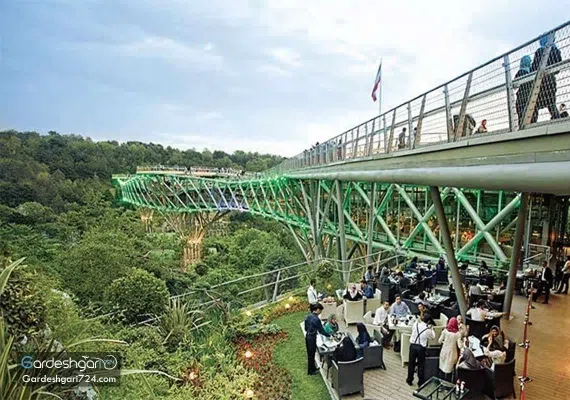 پارک جنگلی طالقانی، تماشای تهران از روی پل طبیعت