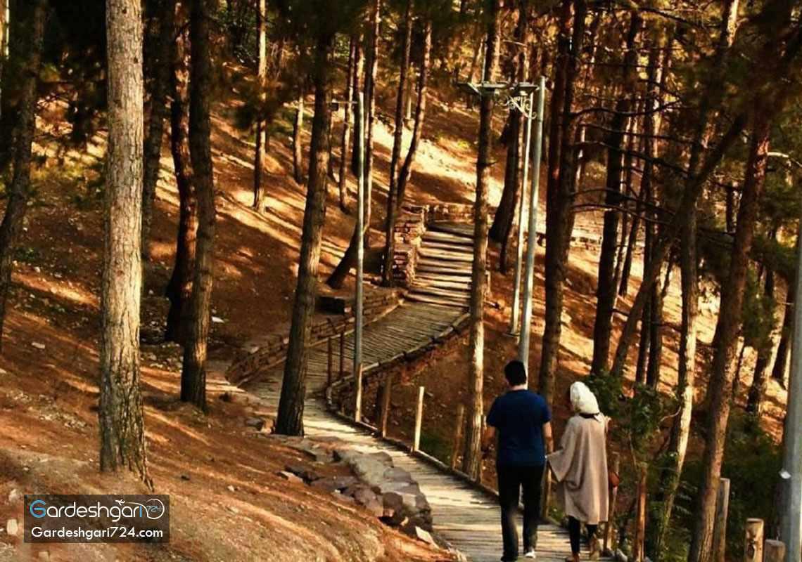 پارک جنگلی طالقانی، تماشای تهران از روی پل طبیعت