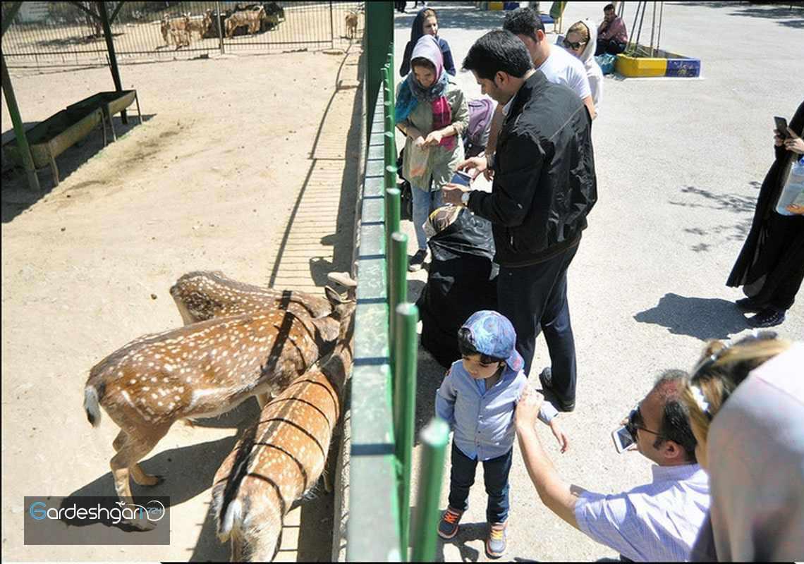 باغ وحش وکیل آباد مشهد