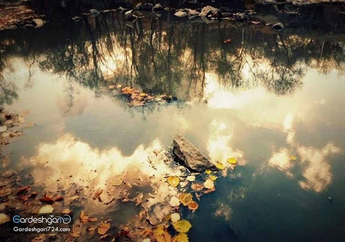 پارک وکیل آباد مشهد