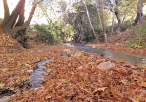 تنگه گنجه ای کجاست