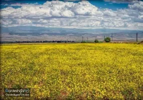 آبشار گورگور