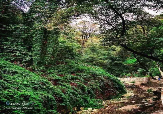 آبشار کبودوال، بزرگترین آبشار خزه ای جهان