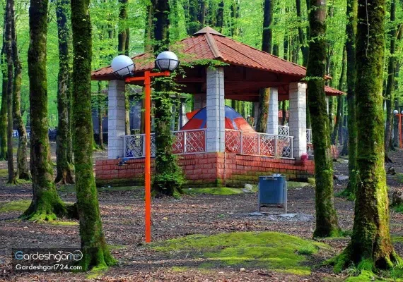 پارک جنگلی کردکوی، منطقه جنگلی پلنگ پا با آبشاری خزه ای