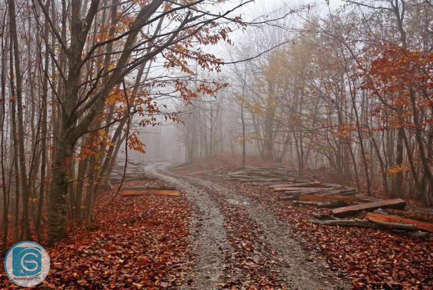 جاده اسالم به خلخال