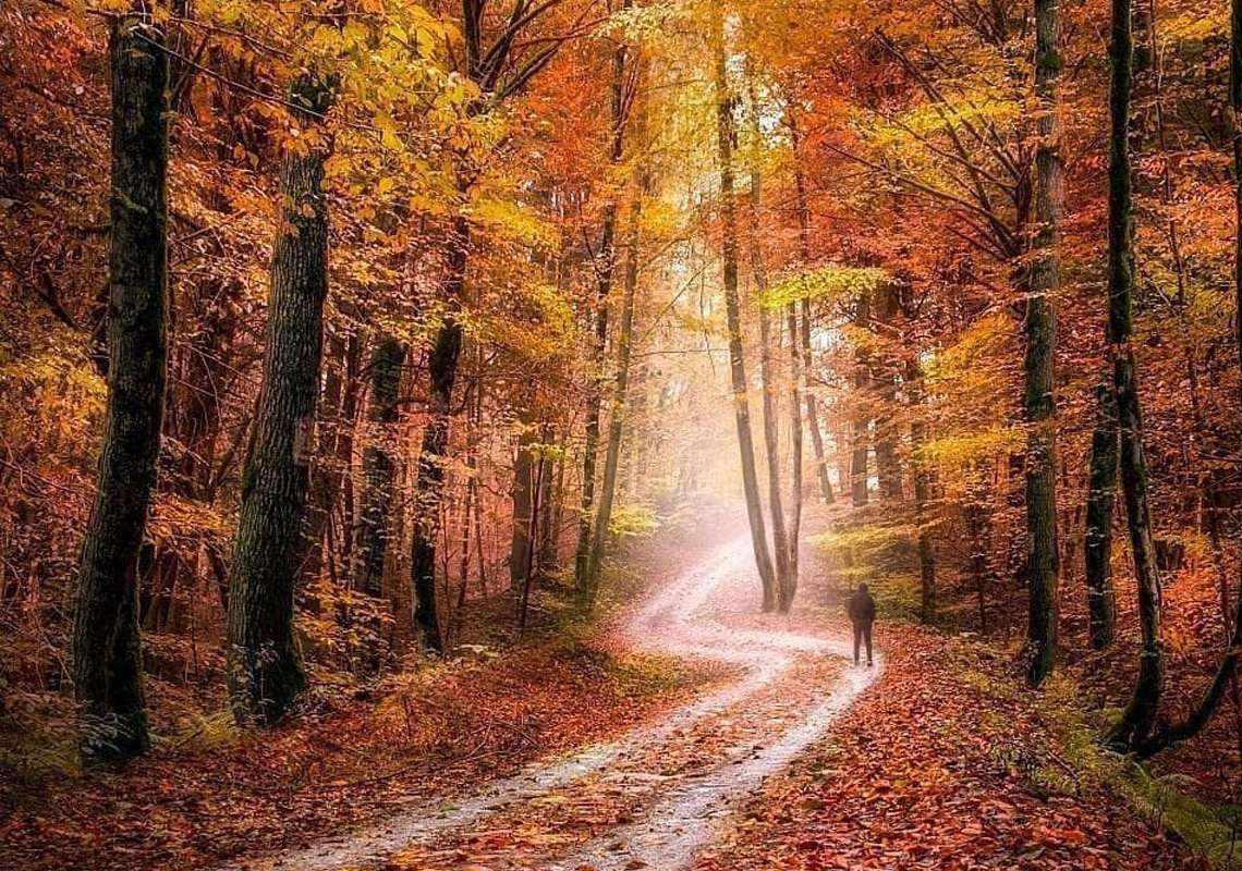 متل قو کجاست