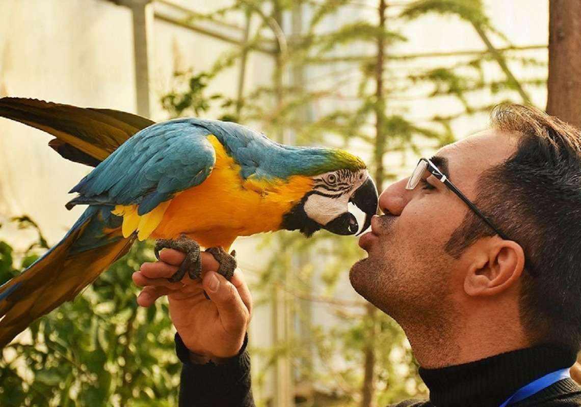 باغ پرندگان تهران