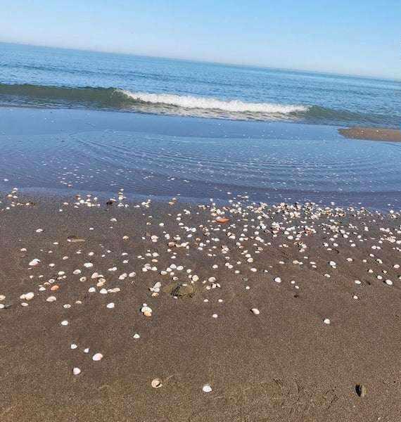 پلاژ ساحلی متل قو