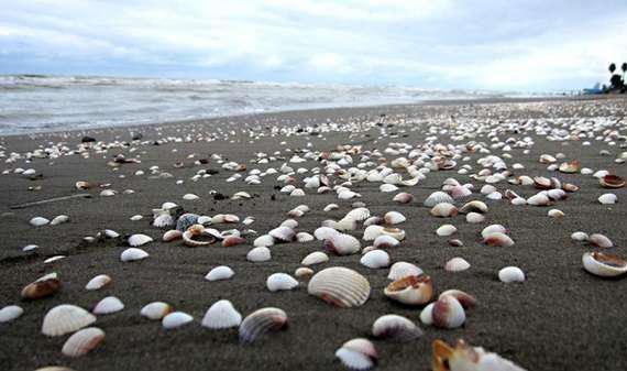 پلاژ ساحلی متل قو