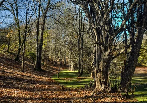 مرداب هسل کجاست؟