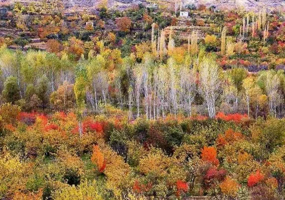 پل فیروزآباد کوثر