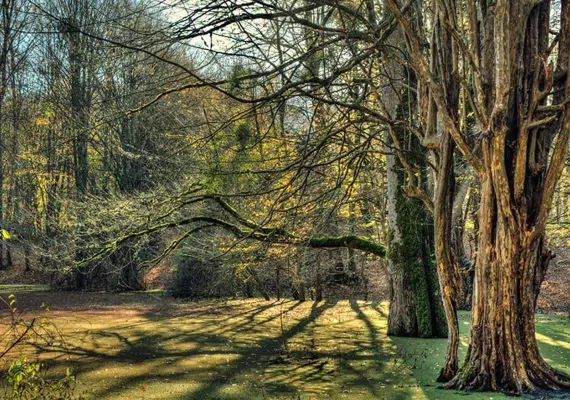 مرداب هسل کجاست؟