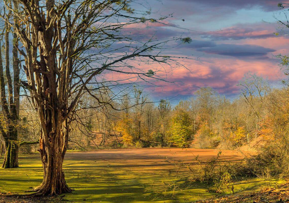 مرداب هسل کجاست؟