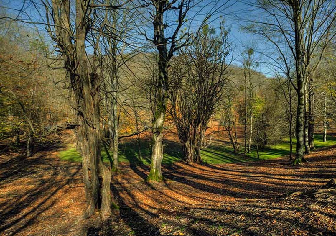 مرداب هسل کجاست؟