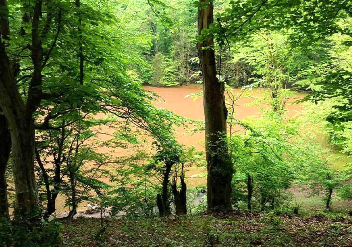 مرداب هسل کجاست؟