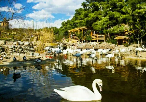 بهترین و معروف ترین پارک های تهران