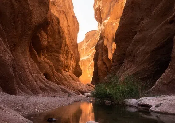 دره کال جنی طبس