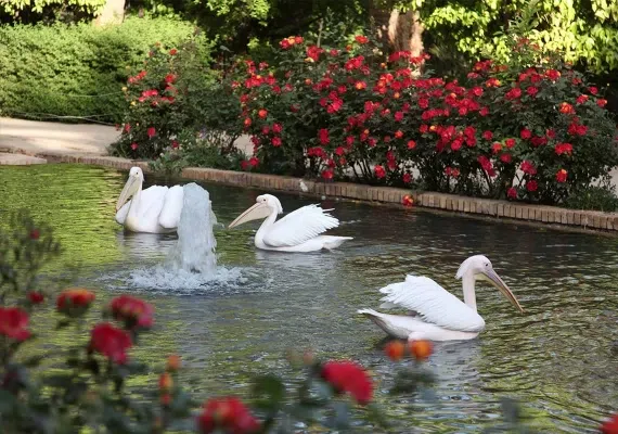 باغ گلشن طبس