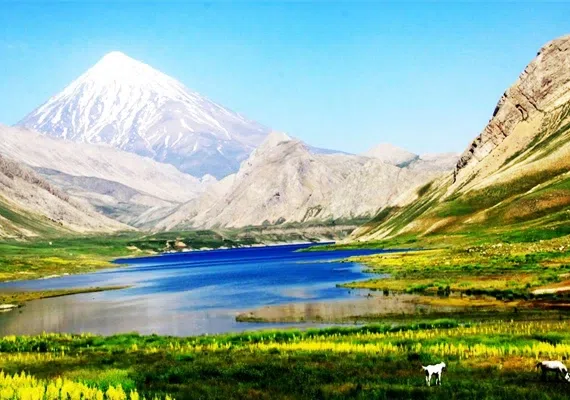 دشت لار