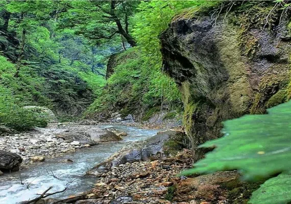 جنگل شصت کلا کجاست