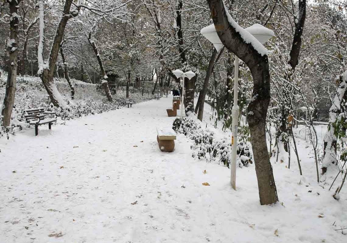 پارک قیطریه