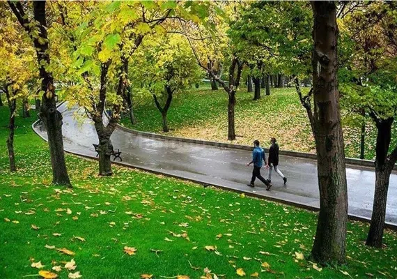 پارک ساعی تهران