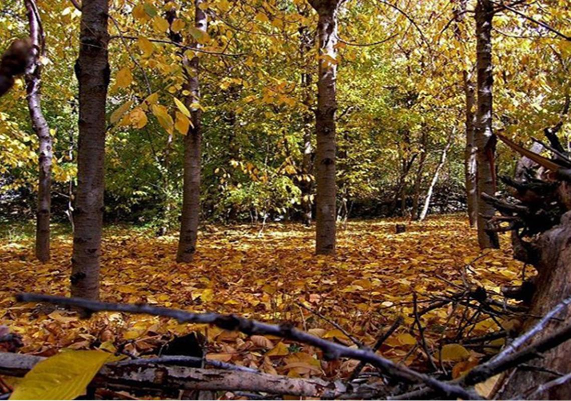 روستای آهار