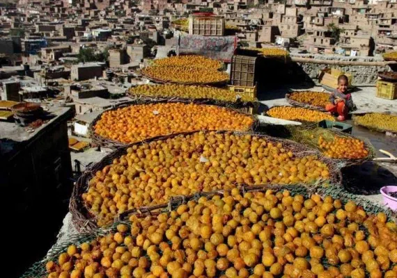 شهر ییلاقی خرو نیشابور