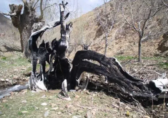 روستای دیزباد نیشابور، زیباترین روستای پلکانی ایران بعد از ماسوله