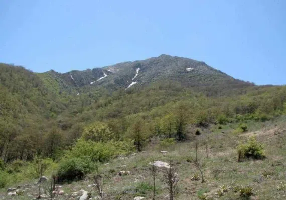 رشته کوه بینالود