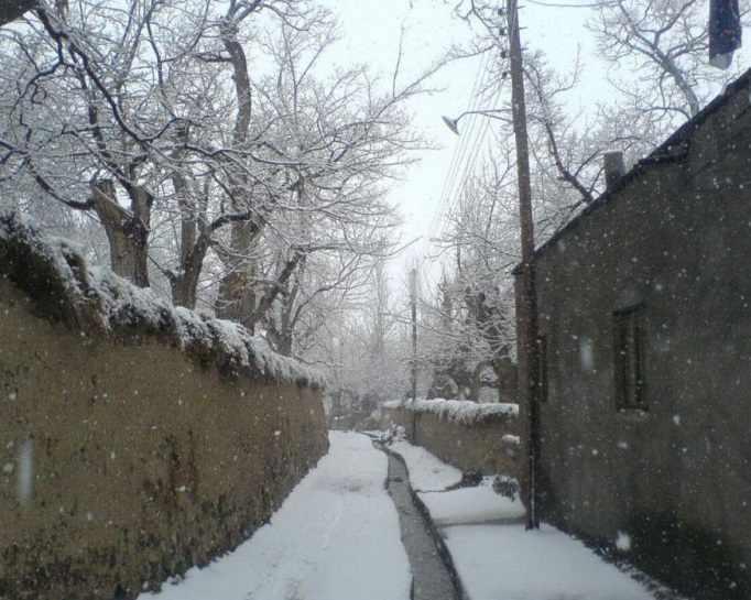 روستای نوفرست