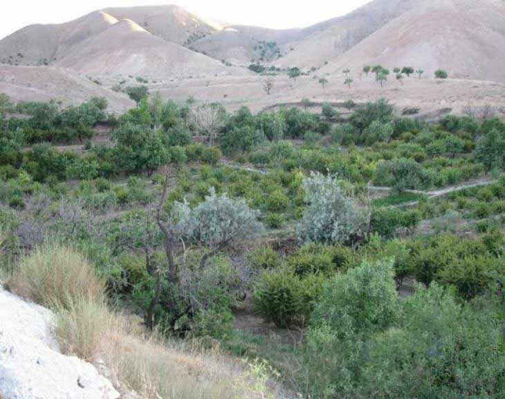 روستای بویک