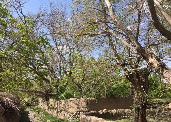 روستای نوفرست