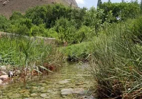 روستای استاد