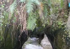 دره انار گتوند