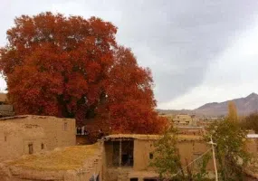 روستای طبر