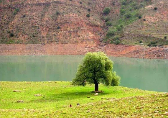 پارک جنگلی تمبی