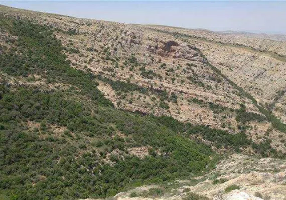 روستای رئین