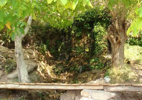 منطقه انگورستانی
