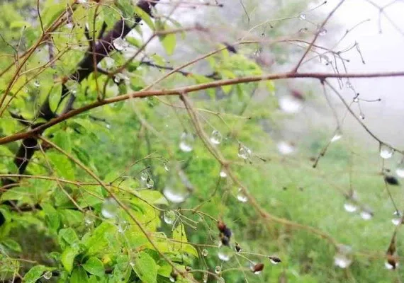 باغ دره