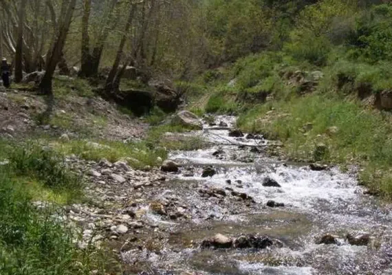 منطقه حفاظت&zwnj;شده قرخود